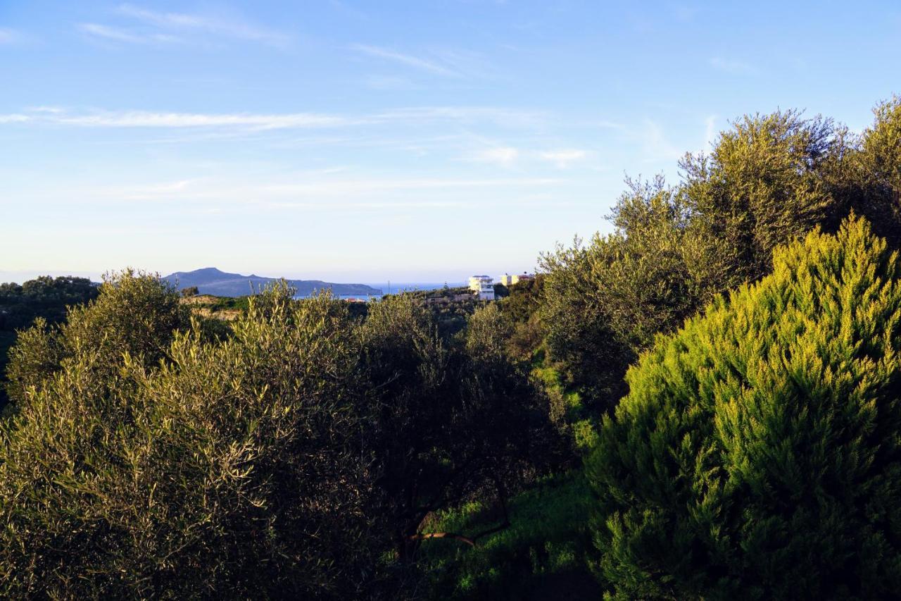Olive Tree Hillside Apartment Stalos Exterior photo